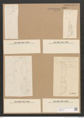 Diatomeae indet. Zeichnungen Sammlung Grunow Nr. 2599 (NHMW-BOT-W0369792)